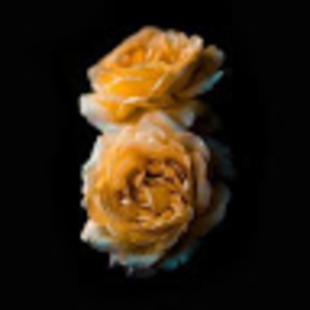 Meet your Posher, Danica